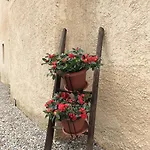 Il Bosso Del