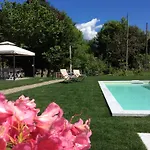Il Bosso Del Ameno