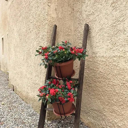Il Bosso Del
